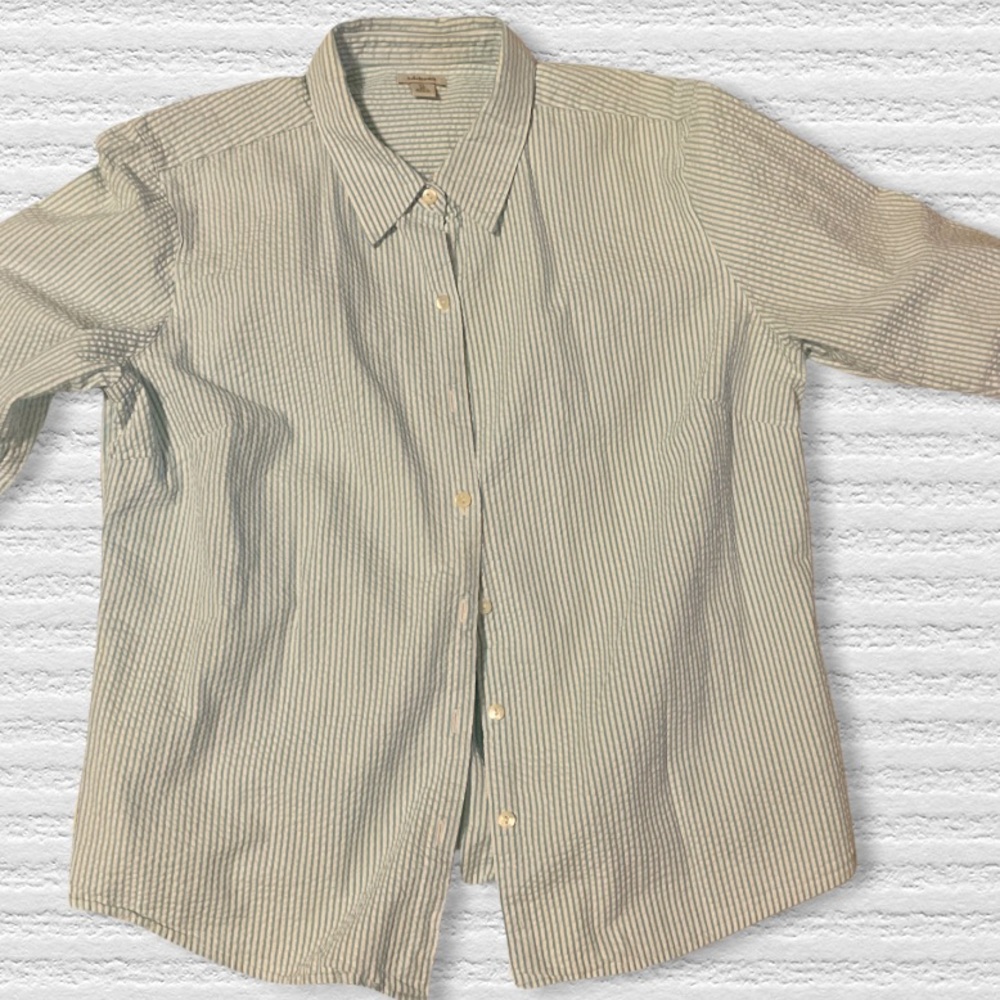 L.L. Bean Women's Light Blue and White Striped Button-Up Blouse